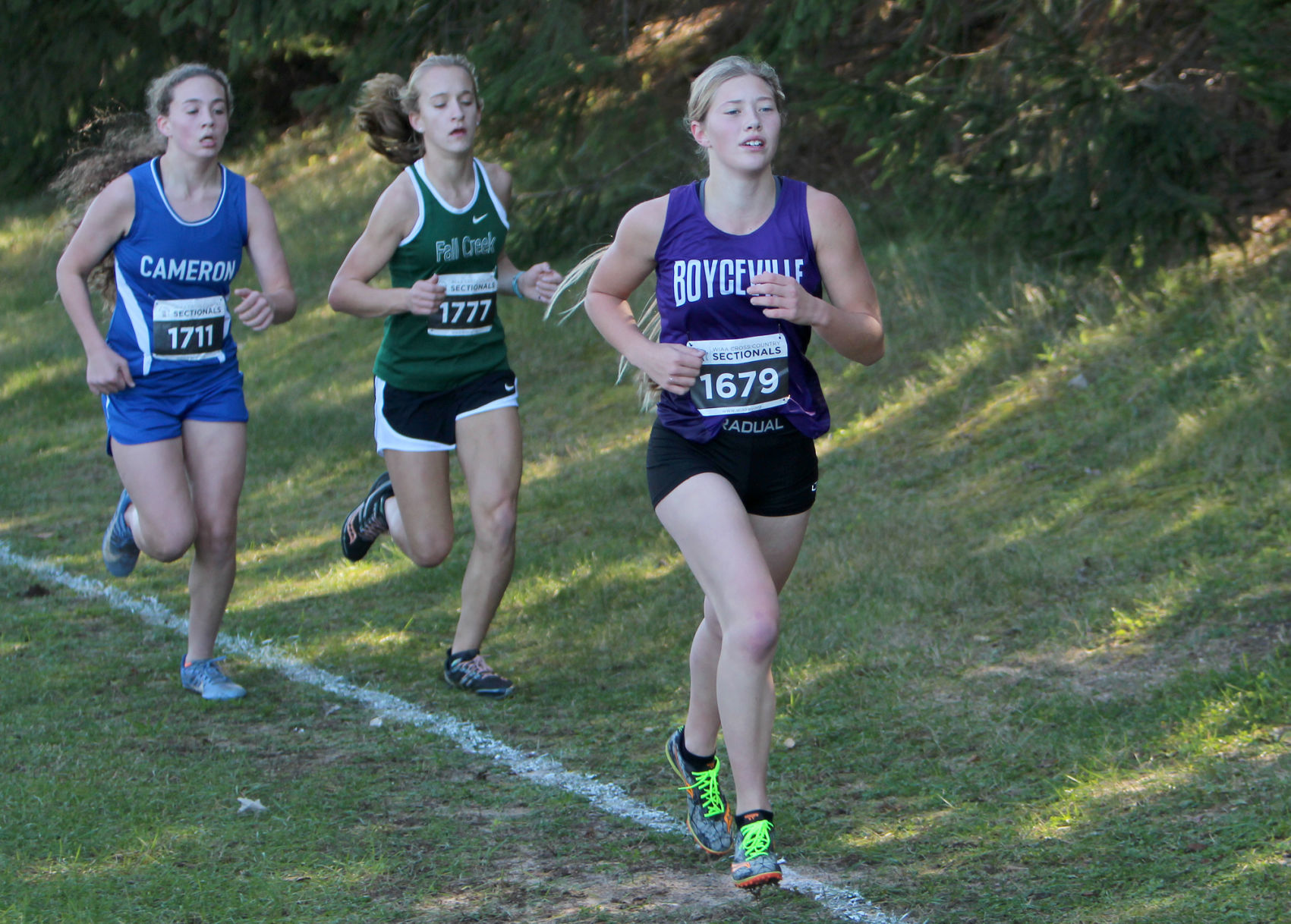 Division 3 Cross Country Sectionals in Boyceville 10-26-19
